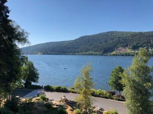 a view of a large lake with trees in the background at Gerardmer : Residence "l'eau vive" in Gérardmer