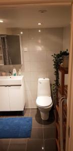 a bathroom with a white toilet and a sink at Skuteviken Apartments 40 in Bergen