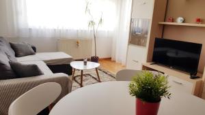 - un salon avec un canapé et une télévision dans l'établissement Apartment Petar i Dora, à Zagreb