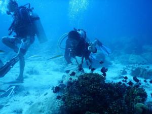 Khách lưu trú tại Sok San Beach Resort