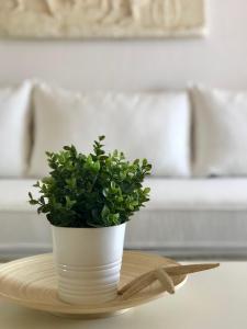Kép Sand & Sea Design Apartment szállásáról Pefkohóriban a galériában
