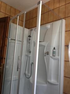 y baño con ducha y puerta de cristal. en Le Lierre, en Châtillon