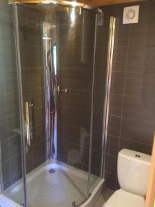 a shower with a glass door next to a toilet at Domki W Sercu Mazur in Ryn