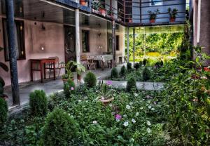 Giardino di The Kiwi House