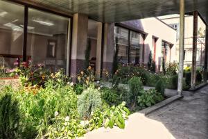 Giardino di The Kiwi House