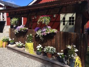 a fence with pots of flowers in front of a house at Hotell Hammarstrand in Hammarstrand