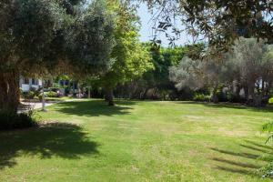 
a park filled with lots of trees and grass at Eden Inn in Zikhron Ya‘aqov
