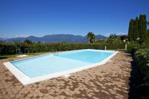ein Schwimmbad in der Mitte eines Gartens in der Unterkunft Residenza Moncucco in Luino