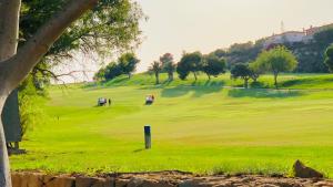 Golf v apartmánu nebo okolí