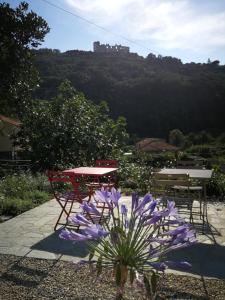 Príroda v okolí of the bed and breakfast