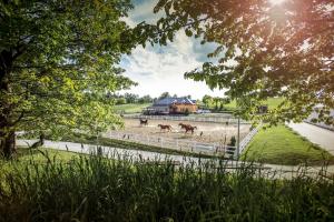 Zahrada ubytování Hotel Horse Riding - Jezdecký Areál Tršice