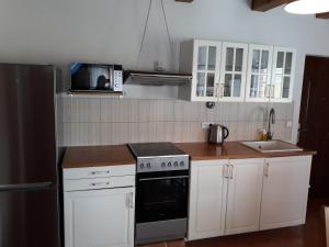 Kuchyň nebo kuchyňský kout v ubytování Apartmány Hradiště