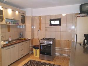 a kitchen with a stove and a sink at Lip si Ely in Dâmbovicioara