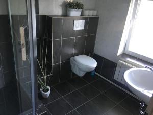 łazienka z toaletą i umywalką w obiekcie Penzion Chlumec w Czeskim Krumlovie +37 zdjęć