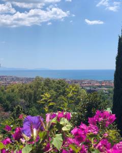 サレルノにあるVilla Mareluna - Sea view and gardenの丘の上のピンクの花束