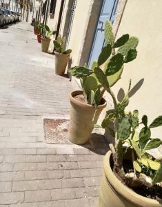 Fotografie z fotogalerie ubytování La Casa del mare v destinaci Siracusa