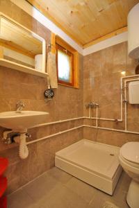 een badkamer met een wastafel en een toilet bij Malo selo Bojanovići in Golovo