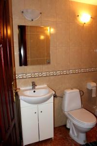 a bathroom with a sink and a toilet and a mirror at Zawoja Chaty Górskie D3 in Zawoja