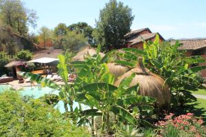 Zahrada ubytování Antica Pietrara B&B