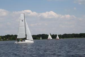 a group of sailboats on a large body of water at Yachthafenblick in Bad Zwischenahn