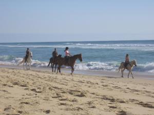 a group of people riding horses on the beach at Blue Ocean in Moliets-et-Maa