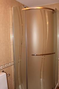 a shower with a glass door in a bathroom at Zawoja Chaty Górskie D4 in Zawoja