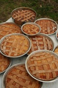 Billede fra billedgalleriet på Rosacanina B&B i Torchiara