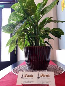 Galeriebild der Unterkunft App Paris 2 in Umag