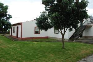 une maison avec un arbre dans la cour dans l'établissement Quinta dos Figos "5 Trevos GOLD", à Praia da Vitória