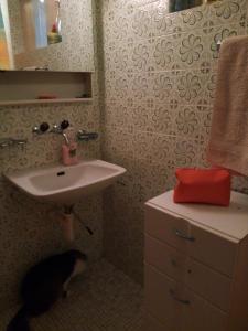 un baño con un gato parado junto a un lavabo en Gastzimmer für Übernachtung Гостевая комната, en Oberbipp