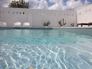 a swimming pool with chairs and cacti at Mazzara Farm in Manduria