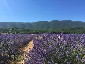 CéresteにあるDomaine de la Bastidonneのギャラリーの写真