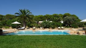 a swimming pool in a yard with chairs and umbrellas at Appartamentos Michel Dos in Sant Ferran de Ses Roques