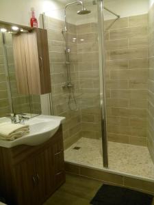 a bathroom with a shower and a sink and a shower at Le Jardin Ombragé in Saint-Paul-dʼIzeaux