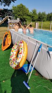 un grupo de personas en una piscina con un donut en B&B Il Rovere, en Gattico