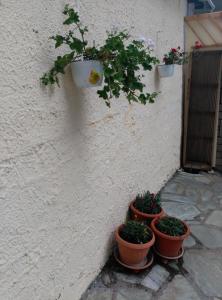 Fotografie z fotogalerie ubytování Dimitra Apartment v destinaci Ágios Nikólaos