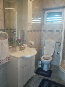 ein weißes Bad mit einem WC und einem Waschbecken in der Unterkunft Dama Apartment in Biograd na Moru