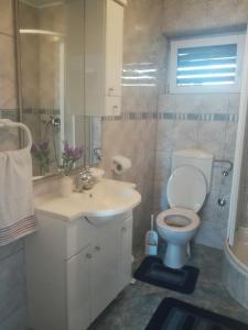 Koupelna v ubytování Dama Apartment
