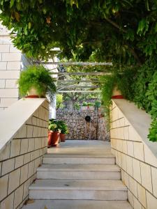 a walkway in a greenhouse with potted plants at Apartments and Rooms Villa Mir in Zaton