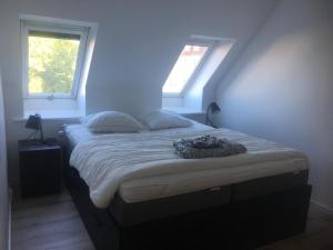 Gallery image of 2 BR apartment on walk street in Frederikshavn