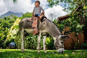 a little boy sitting on top of a horse at Hotel El Silencio del Campo in Fortuna