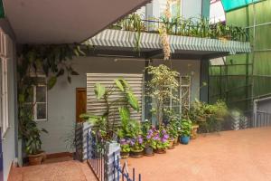 un montón de plantas al lado de un edificio en Latei Ville Inn, en Shillong
