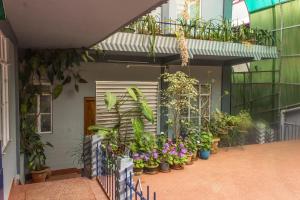a bunch of plants on the side of a building at Latei Ville Inn in Shillong