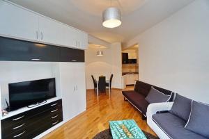 TV a/nebo společenská místnost v ubytování Anja Apartment