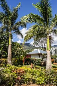 dos palmeras en un jardín con una casa en Habitation Cantamerle, en Capesterre-Belle-Eau