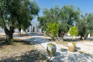 two large vases with trees in the middle of a road at Tenuta Santa Maria in Mattinata