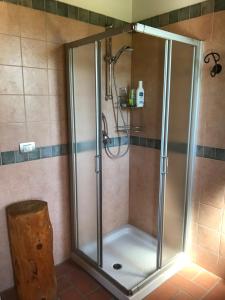 a shower with a glass door in a bathroom at Il Paradiso monolocale Cottage in Albareto