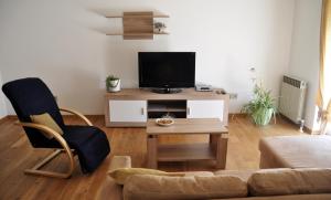 TV a/nebo společenská místnost v ubytování Apartmani Alavuk
