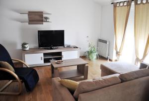 TV a/nebo společenská místnost v ubytování Apartmani Alavuk