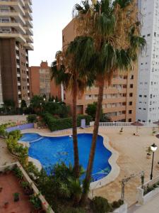 a large swimming pool with palm trees in a city at Apartment Diamond in Benidorm